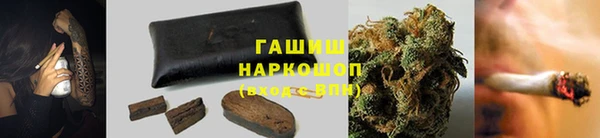 хмурый Нефтекумск
